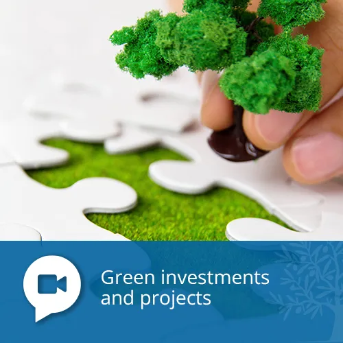 Green investments and projects